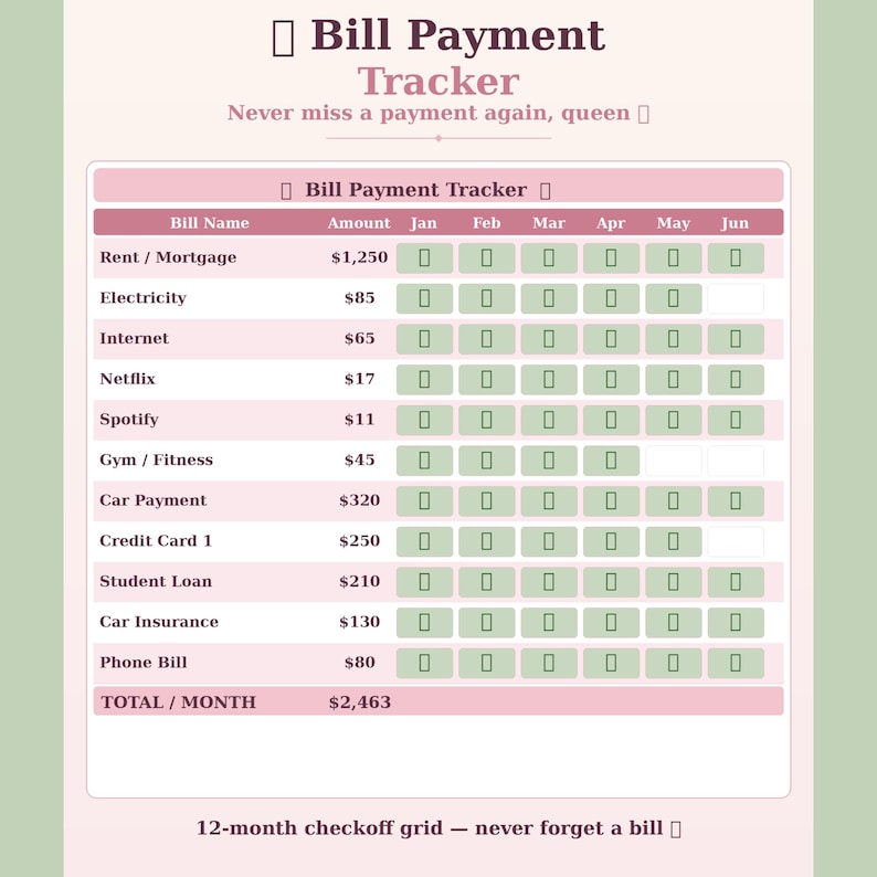 Coquette Budget Tracker Spreadsheet | Excel & Google Sheets | Weekly ...
