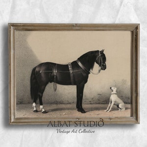 Vintage schwarzes Pferd | Neutrale Pferde und Hundemalerei | Weißer Hund Antik Druck | Digitaler Download | P82