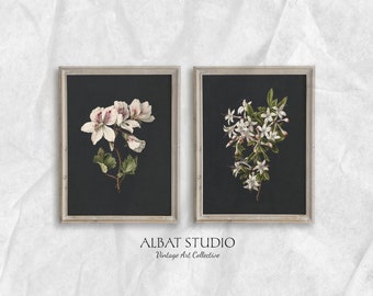 Vintage Flowers Set of 2 | Vintage Botanical Set Painting | Digital Download | P67-68