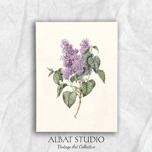 Vintage Lilac Pencil Painting Rustic Botanical Print Digital Download P61 image 2