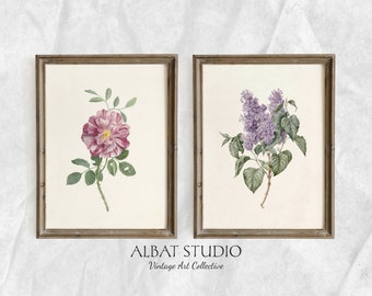 Purple Pink Botanical Set of 2 | Vintage Flowers Set Painting | Digital Download | Print