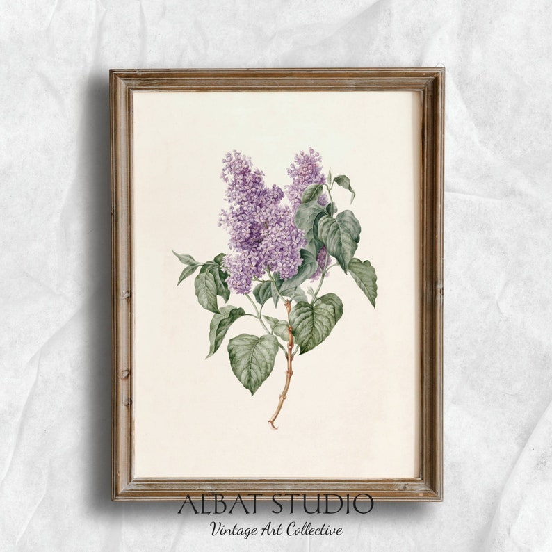 Vintage Lilac Pencil Painting Rustic Botanical Print Digital Download P61 image 1