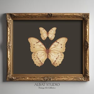 Vintage Butterfly Print | Antique Insect Moth Painting | Printable Wall Art | Digital Download | P107
