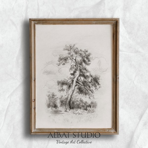 Tree Etching| Vintage Black and White Sketch Art | Landscape Wall Artwork | Digital Download | P43