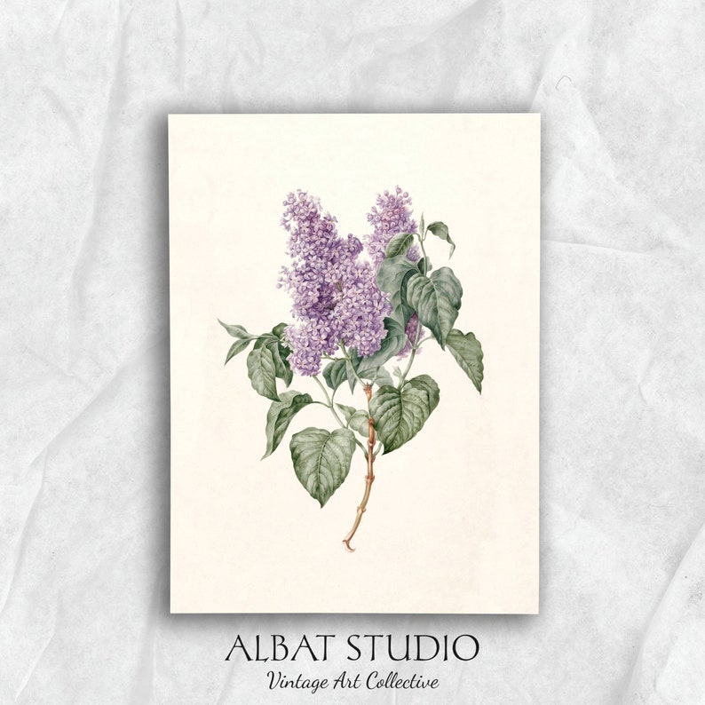 Vintage Lilac Pencil Painting Rustic Botanical Print Digital Download P61 image 2