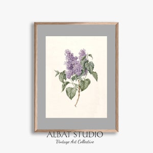 Vintage Lilac Pencil Painting Rustic Botanical Print Digital Download P61 image 6