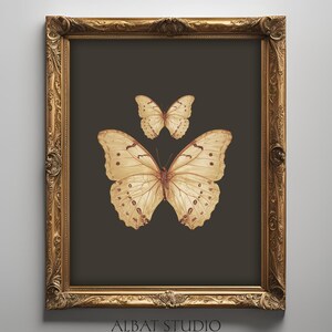 Vintage Butterfly Print | Antique Insect Moth Painting | Printable Wall Art | Digital Download | P81