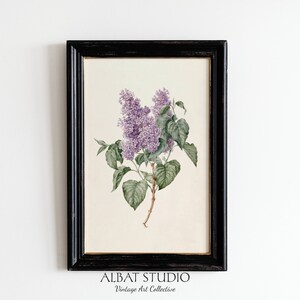 Vintage Lilac Pencil Painting Rustic Botanical Print Digital Download P61 image 4