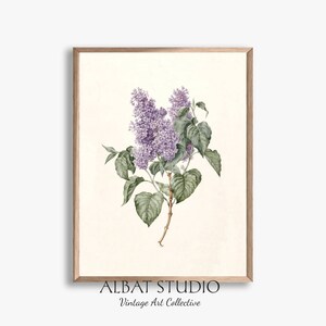 Vintage Lilac Pencil Painting Rustic Botanical Print Digital Download P61 image 5