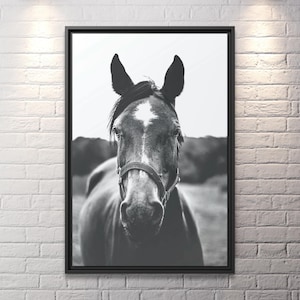 Pferde Kunstwerk Wildpferdedruck Rustikaler Pferdedruck Großes Pferd Fotodruck Pferdefotografie schwarzes Pferd Leinwanddruck Rustikales Pferd Wandkunst