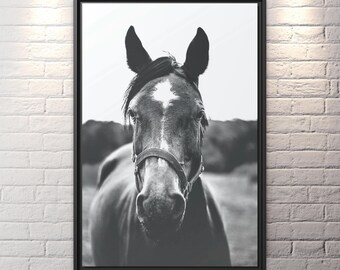 Horse Artwork Wild Horse Print Rustic Horse Print Large Horse Photo Print Horse Photography Black Horse Canvas Print Rustic Horse Wall Art