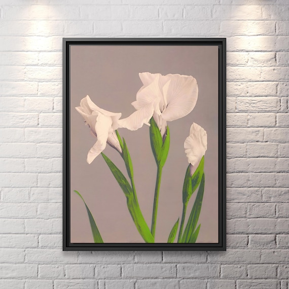 Ogawa Kazumasa Beautiful Photomechanical Prints Ogawa Kazumasa Wall Art Vintage Flower Kazumasa Botanical Print Japanese Art Print Flower