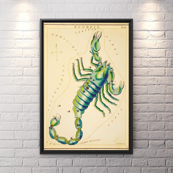 Sidney Hall Scorpio Wall Art Huge Canvas Home Decor Astrology Canvas Print Scorpio Print Astrological Sign Wall Art Horoscope Scorpio Print