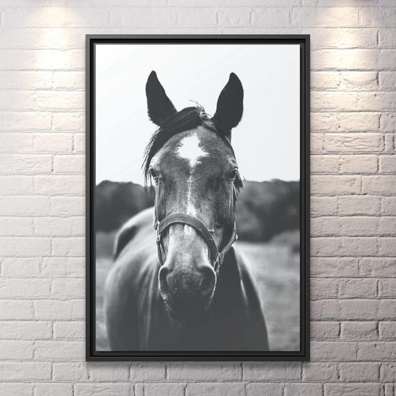 Horse Artwork Wild Horse Print Rustic Horse Print Large Horse Photo Print Horse Photography Black Horse Canvas Print Rustic Horse Wall Art