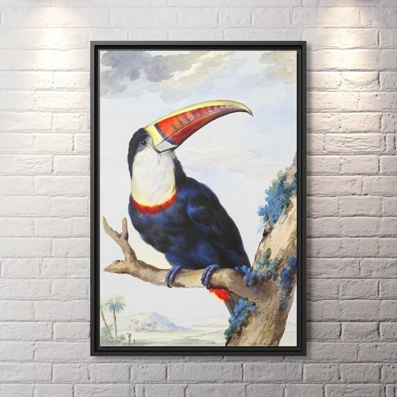 Toucan Art Print Famous Painting Tropical Bird Decor Toucan Wall Art Exotic Bird Art Bird Retro Tropical Art Toucan Bird Art Beautiful Birds
