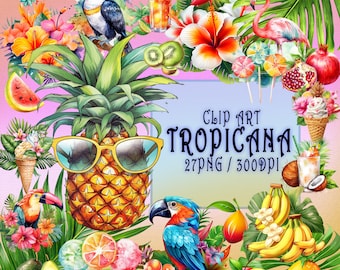 Tropicana Summer Clipart - Vibrant Exotic Flowers, Tropical Fruits, Cocktails, Beach Elements, PNG, Instant Digital Download, Commercial Use
