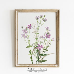 Pintura botánica de flores Angularis / Impresión de arte botánico / Arte de pared de verano / Arte de descarga digital IMPRIMIBLE / Artefacto Vintage / AV_045