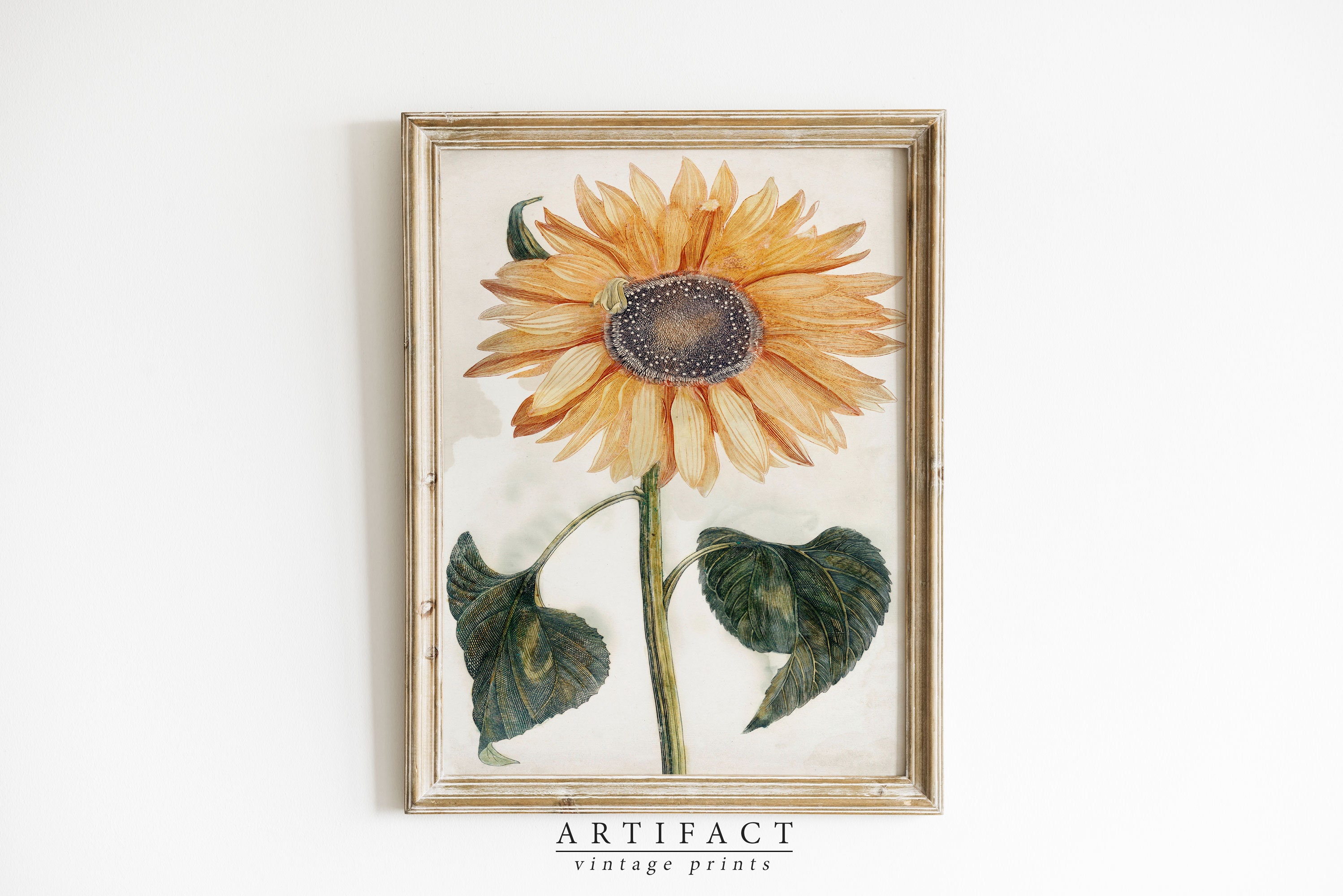 Summer Country Gallery Wall Art SET / Vintage Landscape Art Paintings ...