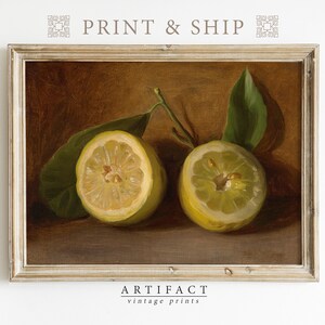 Lemon Still Life Painting / MAILED ART PRINT / Vintage Wall Art / Kitchen Decor / Farmhouse / Still Life Art Print / Artifact Vintage /P_003