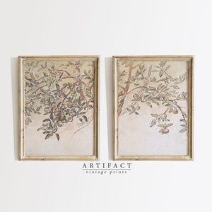 Set of 2 Vintage Apple Tree Prints / Wall Art Set / Antique Branch Drawing / Printable Digital Download / Artifact Vintage Prints / G_016