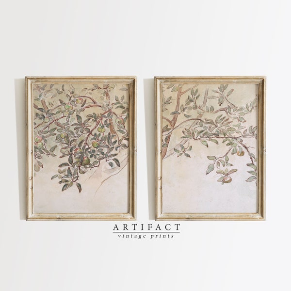 Set of 2 Vintage Apple Tree Prints / Wall Art Set / Antique Branch Drawing / Printable Digital Download / Artifact Vintage Prints / G_016