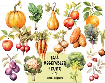 Watercolor Fall Vegetables & Fruits Clipart, Farm Produce (PNG)