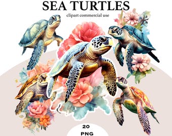 Bloemen zeeschildpad clipart png bundel, boho beach design (digitale download)