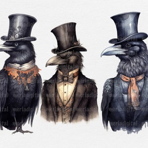 May include: Three ravens wearing top hats and dapper clothing. The raven on the left is wearing a black top hat with a gold trim and a scarf. The raven in the middle is wearing a black top hat with a white bow tie and a vest. The raven on the right is wearing a black top hat with a scarf and a vest.