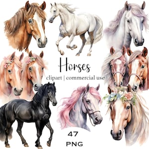Watercolor Horse Clipart bundle Horse png Commercial use Transparent background Digital Download Card Making Horse Png Dtf Printable