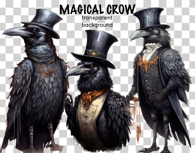 May include: Three black crows wearing top hats and formal attire. The crows are standing on a transparent background. The text "MAGICAL CROW" and "transparent background" is above the crows.