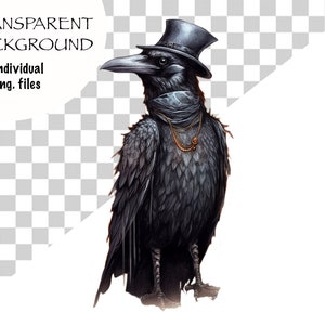 May include: A black raven wearing a top hat and a scarf, with a gold chain and a pendant around its neck. The raven is standing on a white background.