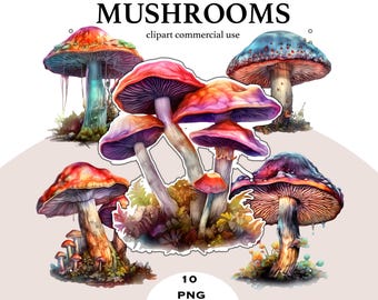 Imágenes prediseñadas de setas en acuarela / Paquete de imágenes PNG de bosque fantástico (descarga digital)