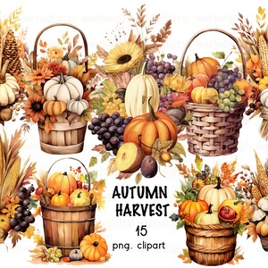 Herbst Ernte Clipart, Aquarell Kürbis Clipart, Herbsternte, Scrapbook and Paper Crafts, Herbst Gemüse Obst, Junk Journal