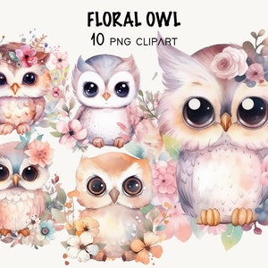 Floral Eule Aquarell Clipart Handwerk Karte machen Transparenten Hintergrund Eule Sofortiger Download Blume Pastell Shirt Design Kommerzielle Clipart