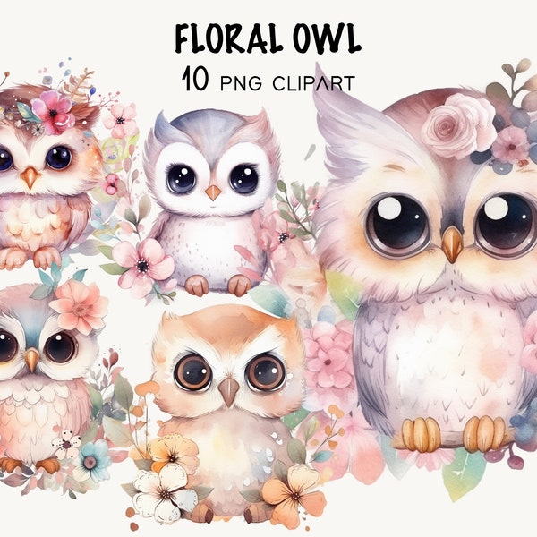 Floral Owl Watercolor Clipart Craft Card Making Transparent Background Owl Instant Download Flower Pastel Shirt Design Commercial Clipart