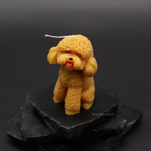 poodle dog shaped | sculptural | housewarming candle |birthday | gift | doggy | personalized candle | dog candle