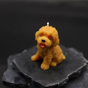 Puede incluir: Una pequeña vela de cera con forma de caniche marrón. La vela tiene la lengua roja y los ojos negros.