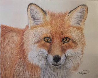 Red Fox Drawing, hand drawn, colored pencil, print of original drawing, 8 by 10 drawing size