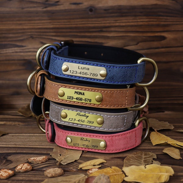 Personalized Leather Dog Collar, Engraved Dog Collar, Custom Dog Collar with Name Plate, Leather Dog Collar，gift for dog, for dog lover