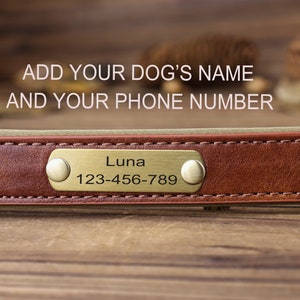 Dog collar leather, dog collar personalized, dog collar girl, dog collar boy, dog collar engraved, dog collar Engraved Leather Dog Collar image 6
