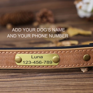 Collar de perro de cuero personalizado, collar de perro grabado, collar de perro personalizado con placa de nombre, collar de perro de cuero, regalo para perro, para amante de los perros imagen 5