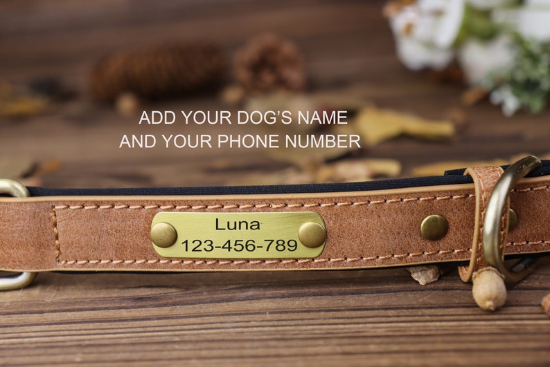 Collar de perro de cuero personalizado, collar de perro grabado, collar de perro personalizado con placa de nombre, collar de perro de cuero, regalo para perro, para amante de los perros imagen 5
