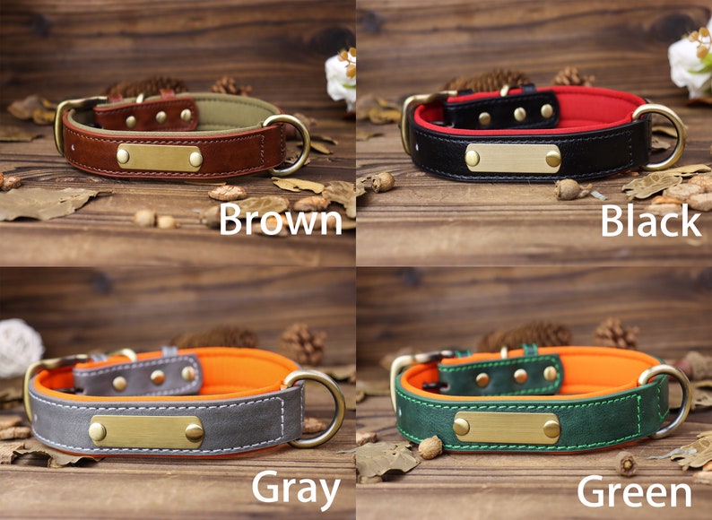 Dog collar leather, dog collar personalized, dog collar girl, dog collar boy, dog collar engraved, dog collar Engraved Leather Dog Collar image 7