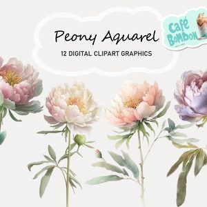 Watercolor Peonies Clipart | Digital Spring Summer Peony Flower, White Pink Wedding Floral instant download for commercial use, PNG format