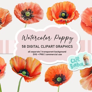 Clipart de coquelicots aquarelle | SVG Digital Summer Poppy Flowers in Orange Red, Téléchargement instantané de mariage floral pour un usage commercial, format PNG