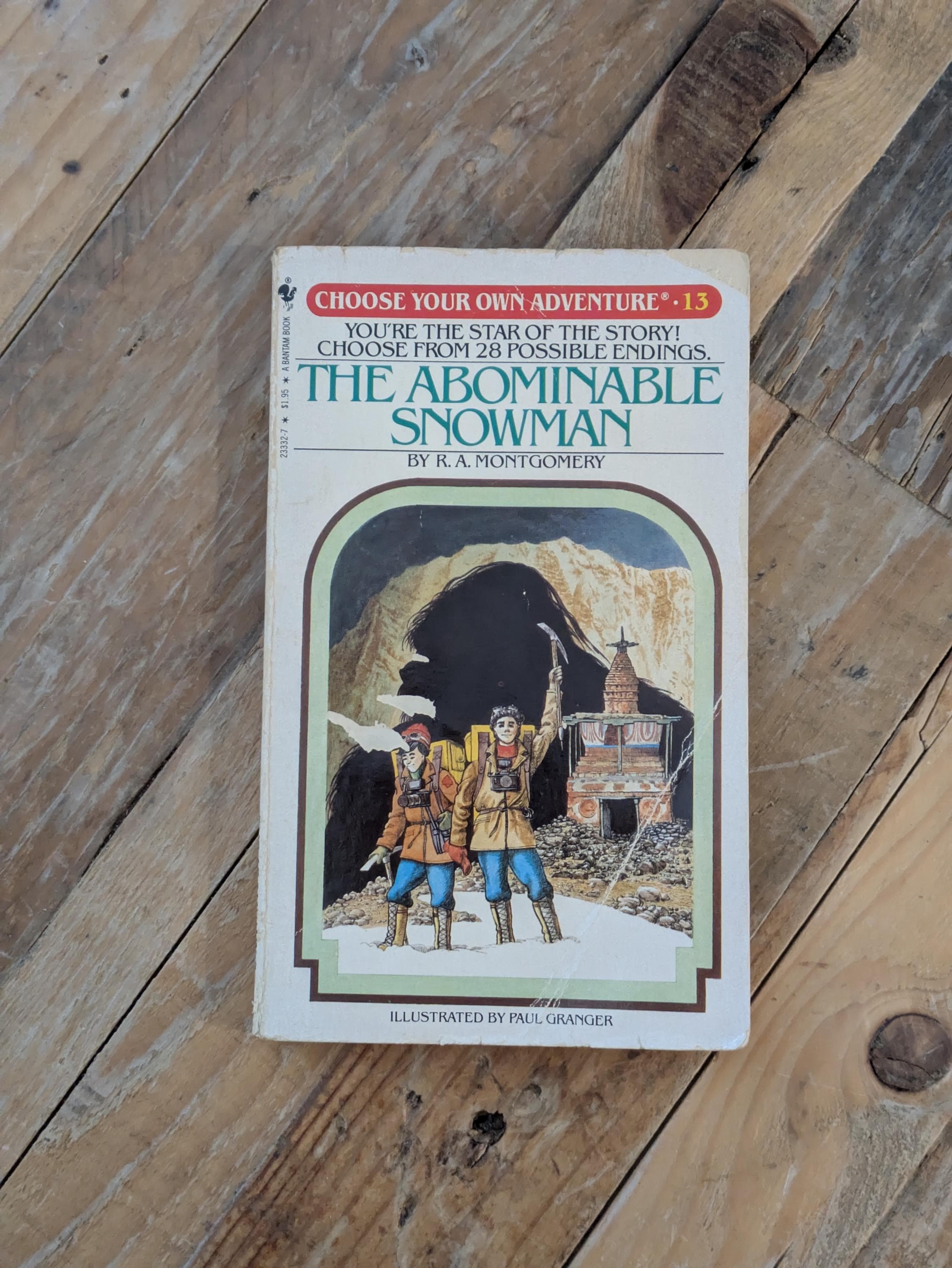 CHOOSE Your OWN ADVENTURE Books - You Pick! Twist a Plot, Solve It