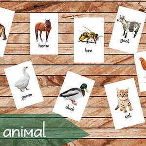FARM ANIMALS • Flash Cards Nomenclature farm anımals cart FlashCards PDF Printable Cards preschool Toys Flashcard
