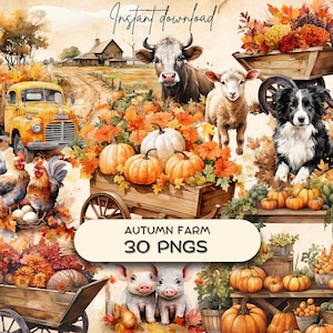 Kürbis Bauernhof Clipart (30 PNG), Landleben + Tiere, Herbstliche Blätter, Junk Journal Aufkleber, Buchbindung Grafik