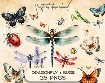 Paquete Dragonfly + Bug Clipart (35 PNG), Diario basura de insectos vintage, Mariquita imprimible, POD de descarga instantánea, Gráficos de uso comercial