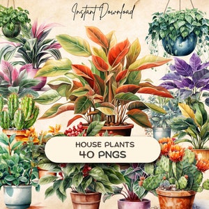 Clipart de planta de casa (40 PNG), álbum de recortes botânico, adesivos de diário indesejado, presente para amante de plantas, download instantâneo de plantas de interior
